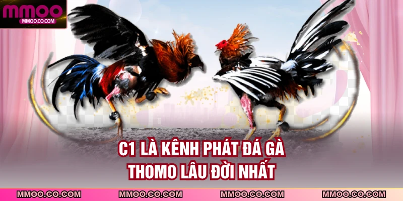 C1 là kênh phát đá gà Thomo lâu đời nhất
