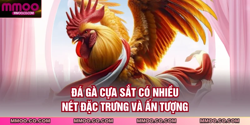 Đá gà cựa sắt có nhiều nét đặc trưng và ấn tượng