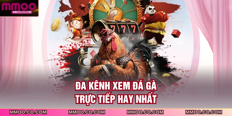 Đa kênh xem đá gà trực tiếp hay nhất